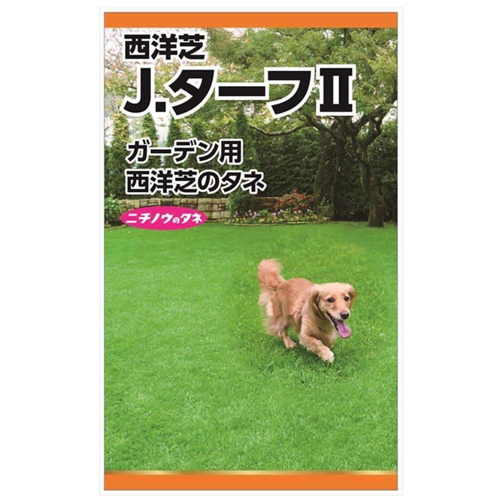 西洋芝 Ｊターフ2