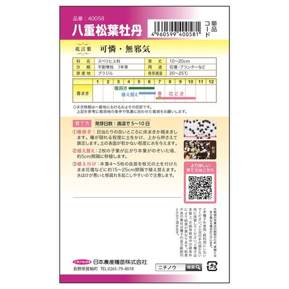 松葉牡丹 八重松葉牡丹 1