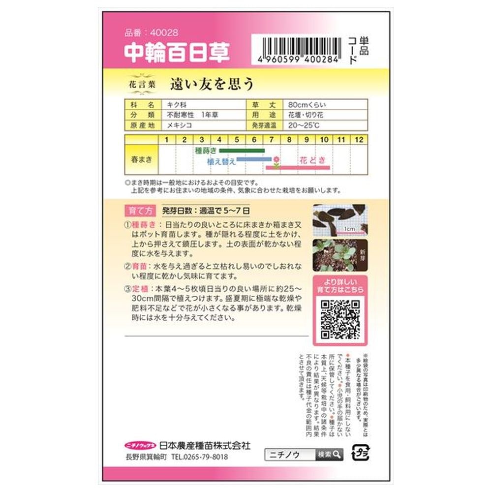 百日草 中輪百日草 1