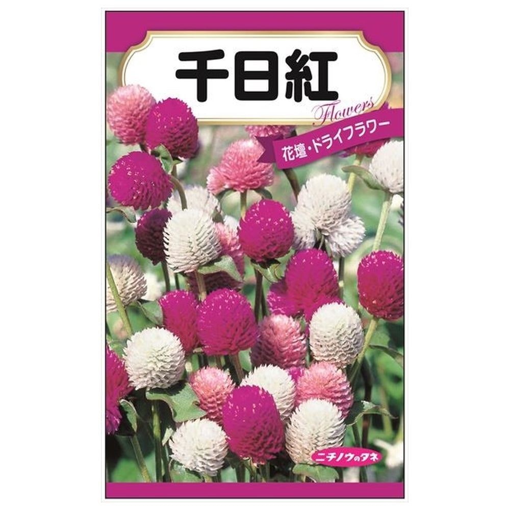 150円花種子 千日紅 