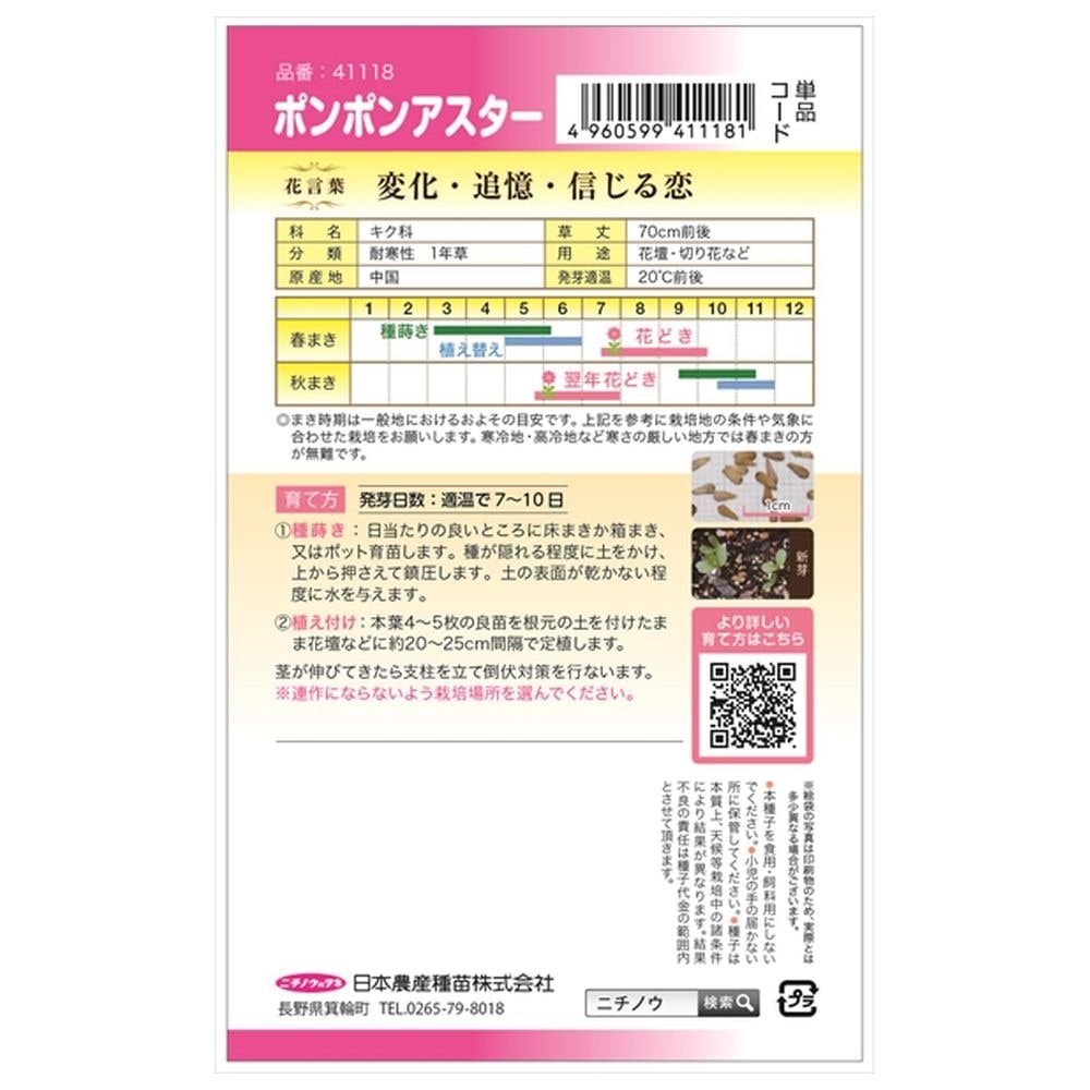 アスター ポンポンアスター 1