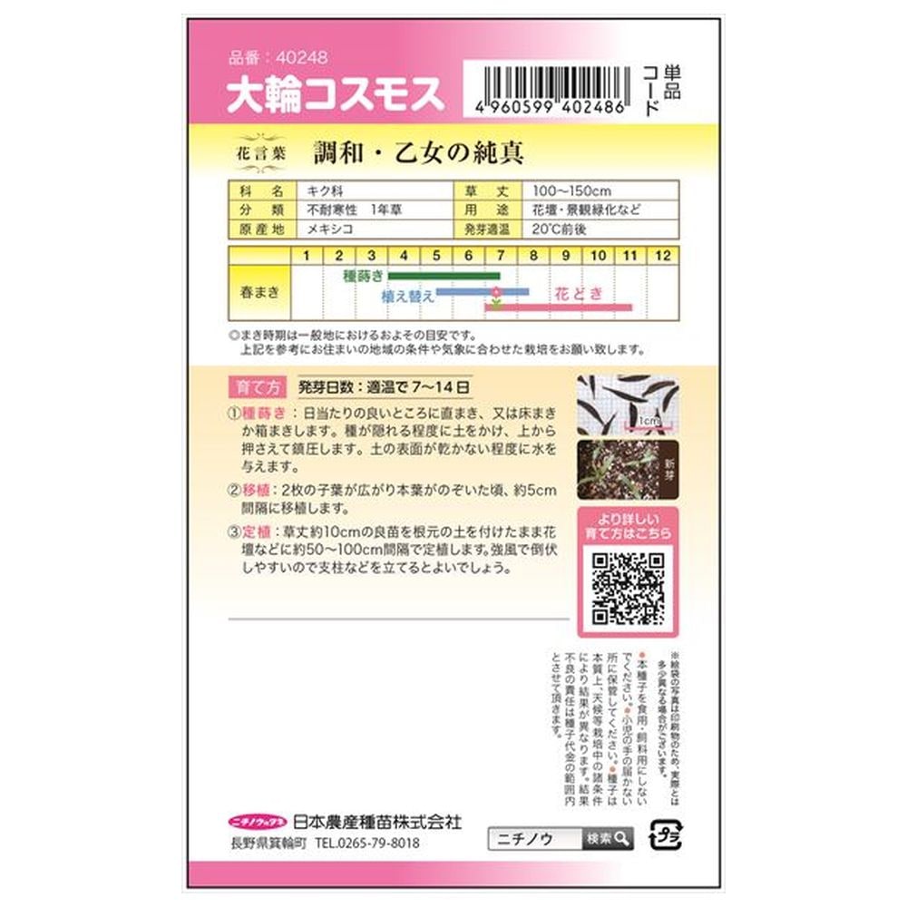 コスモス 大輪コスモス 1
