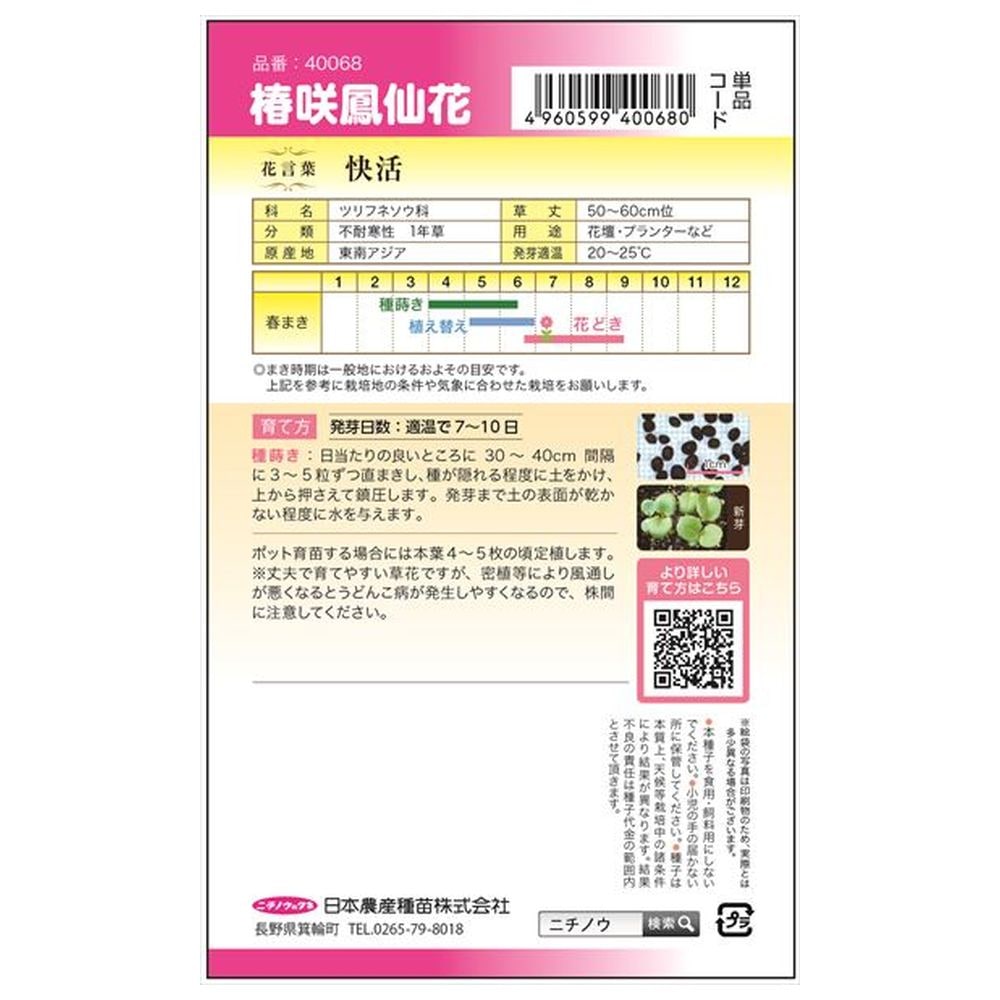 鳳仙花 椿咲鳳仙花 1