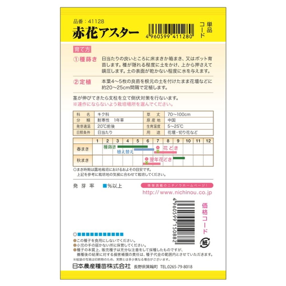 アスター 赤花アスター 1