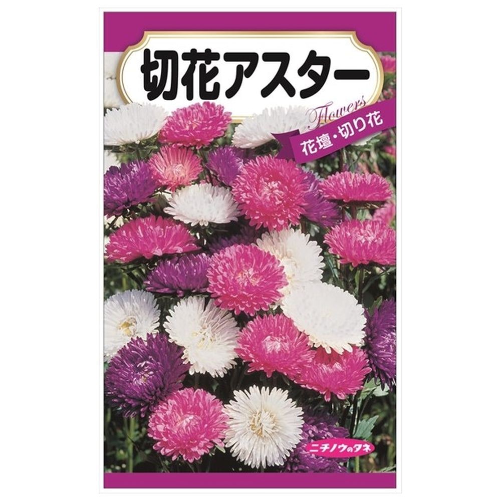 150円花種子 切花アスター 