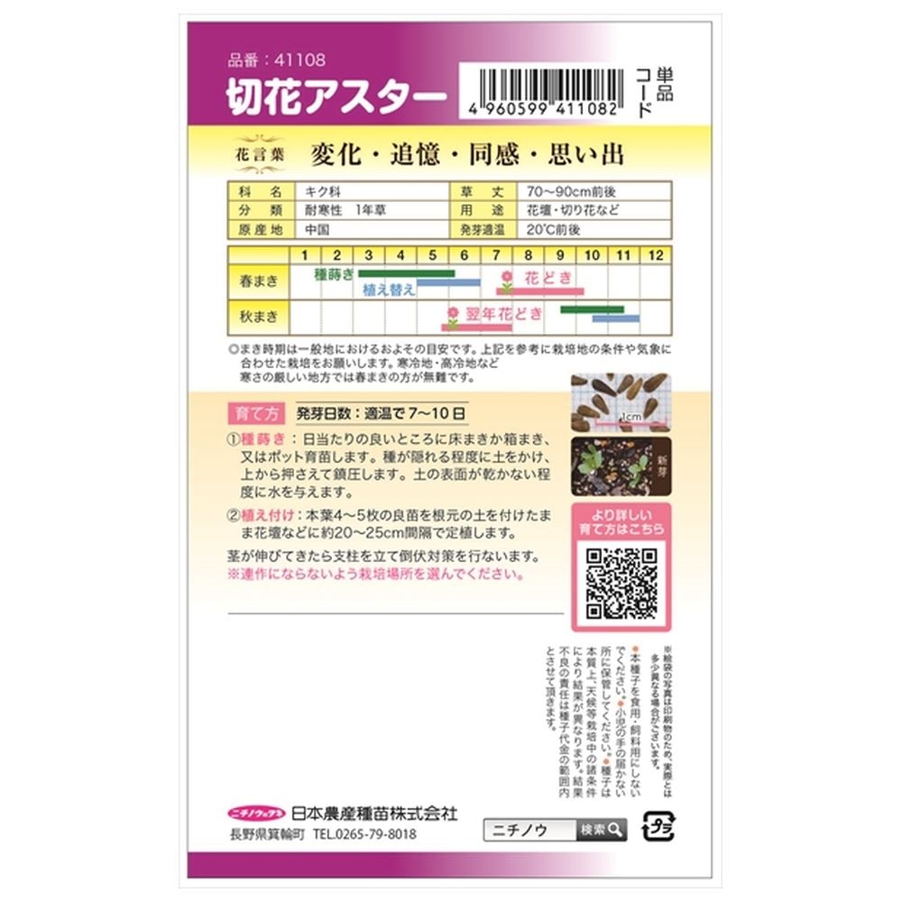 アスター 切花アスター 1