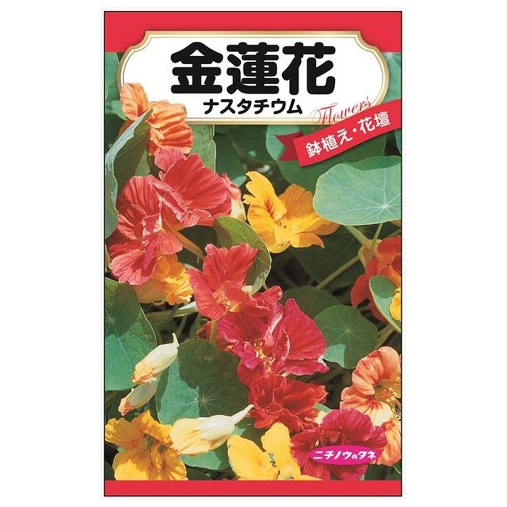 150円花種子 金蓮花 