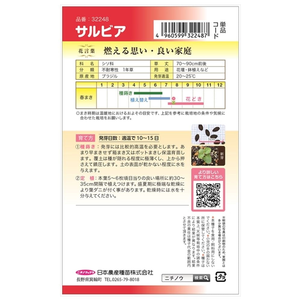 サルビア スプレンデンス 1