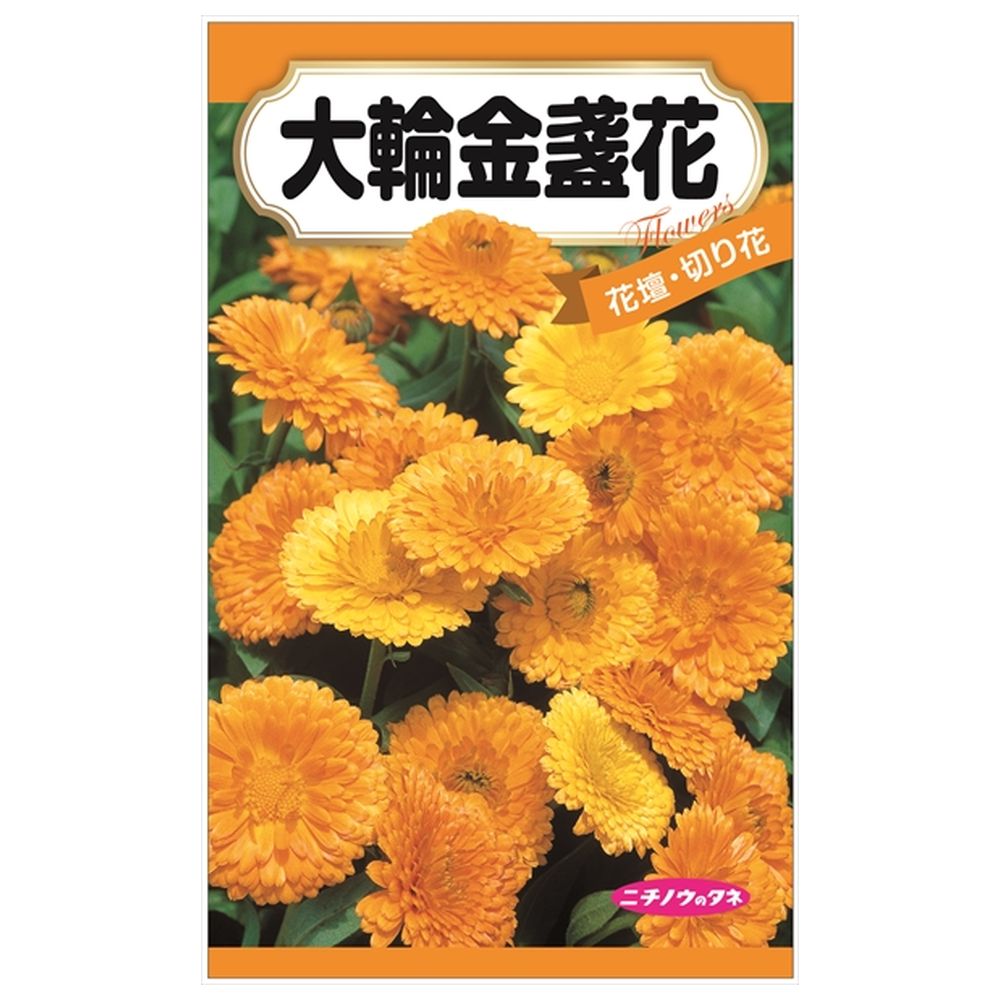 200円花種子 大輪金盞花 