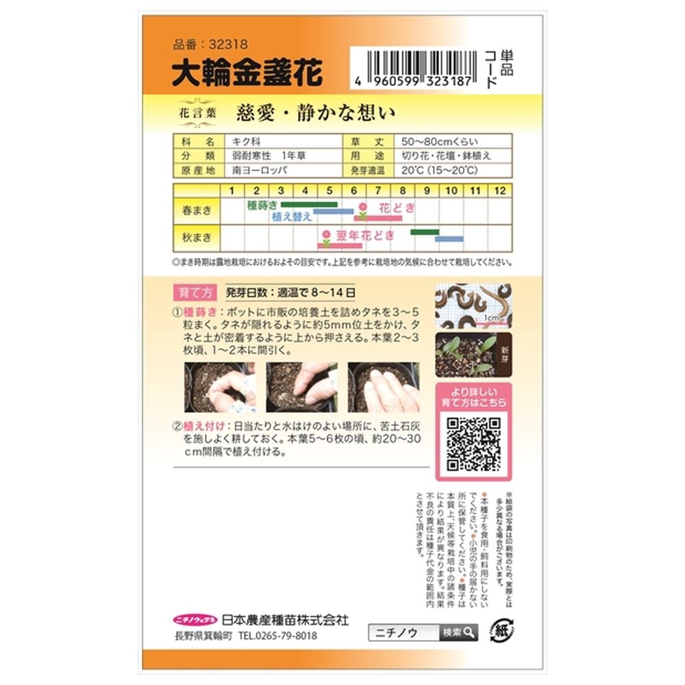金盞花 大輪金盞花 1