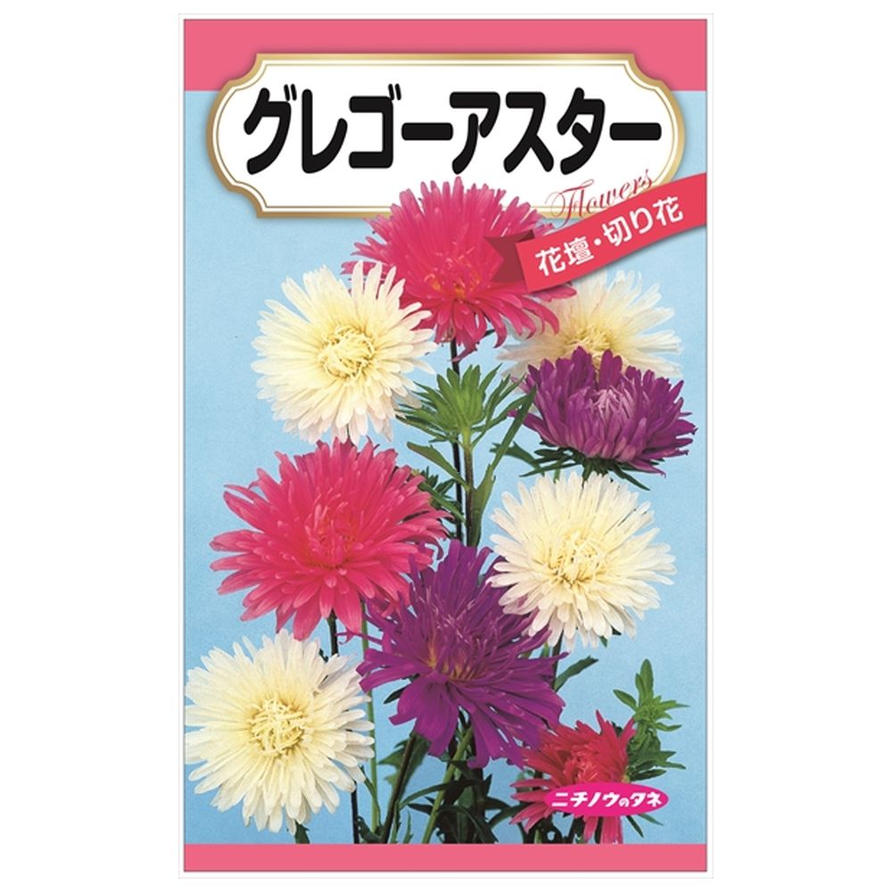 200円花種子 グレゴーアスター 