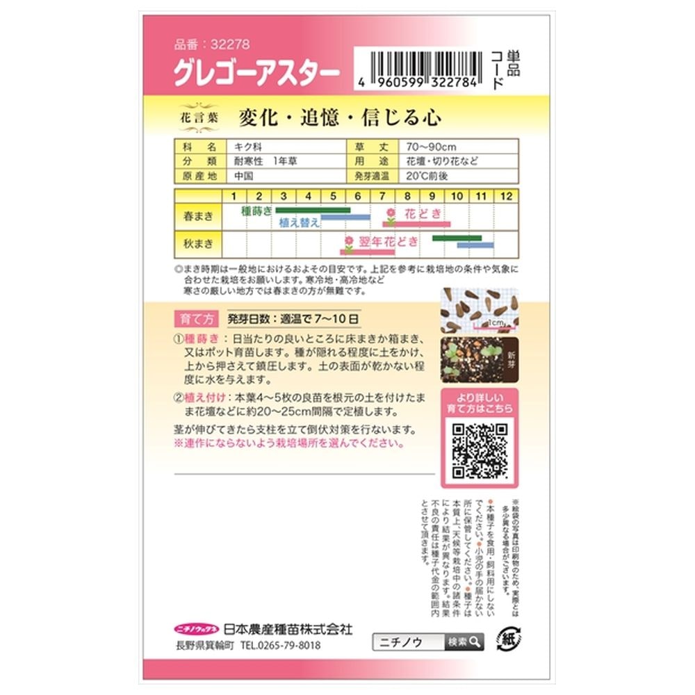 アスター グレゴーアスター 1