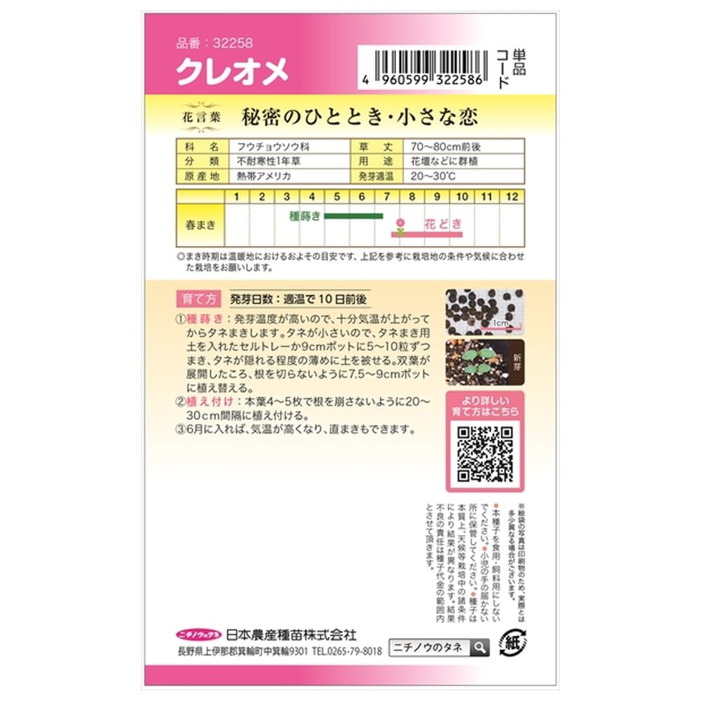 クレオメ クレオメ 1