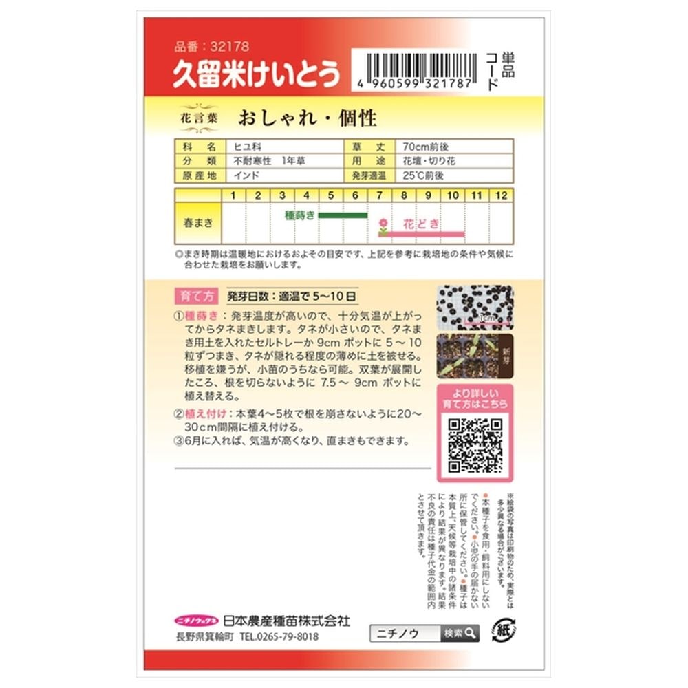 ケイトウ 久留米けいとう 1