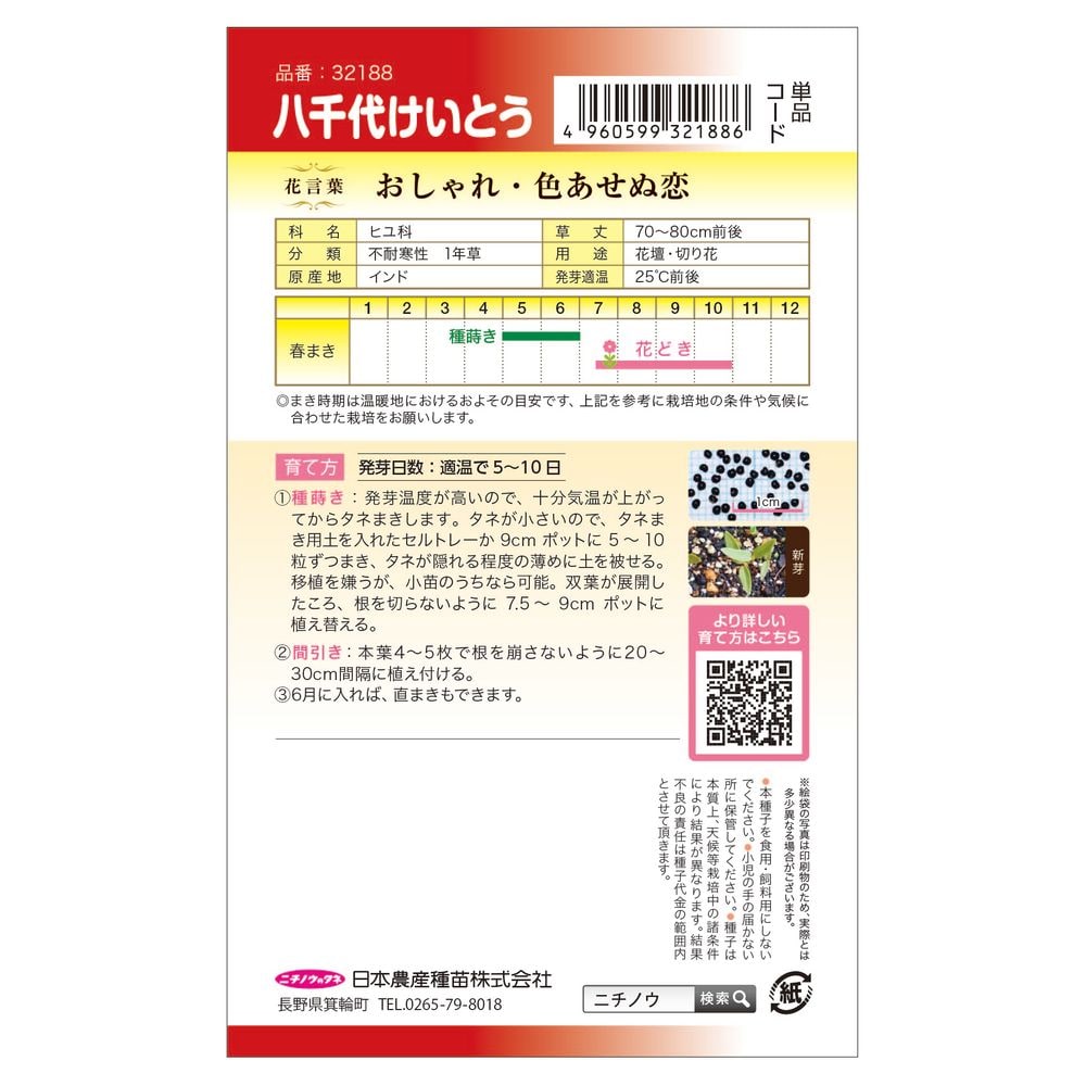 ケイトウ 八千代けいとう 1