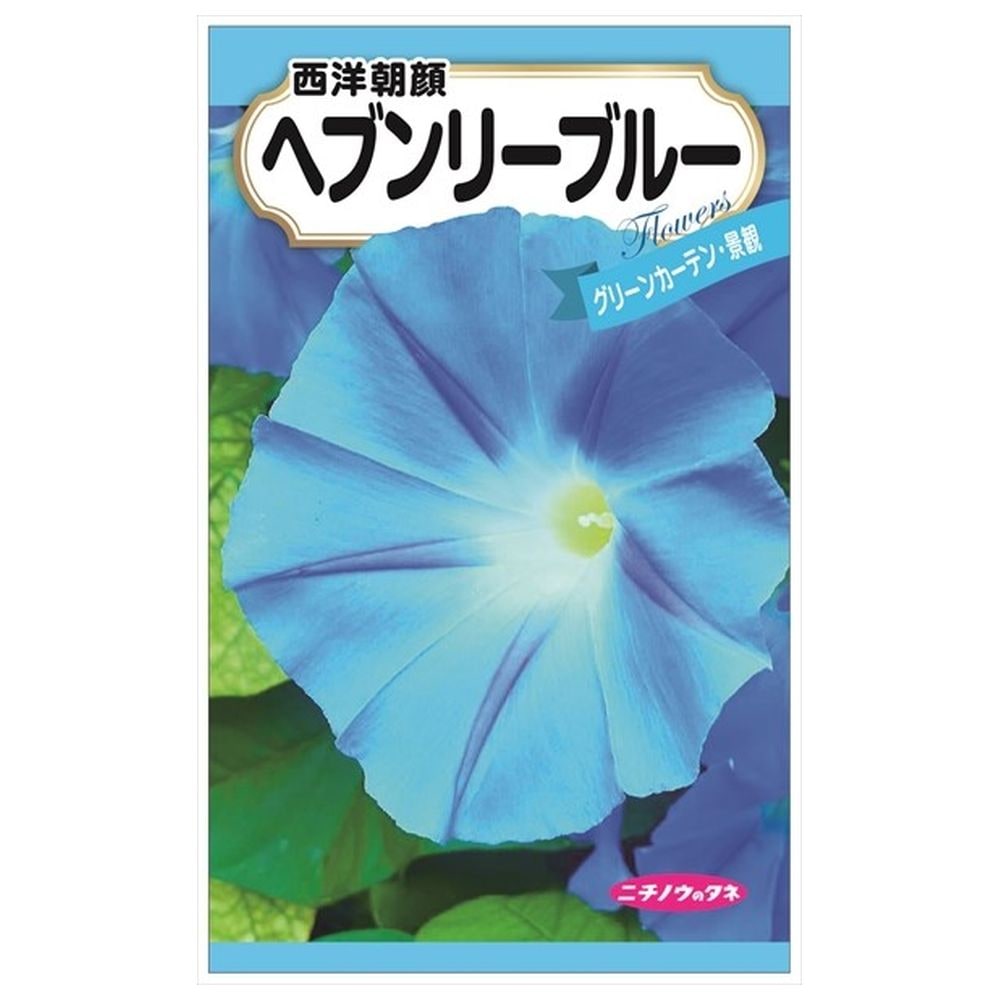 西洋朝顔 ヘブンリーブルーの通販 苗木部 By 花ひろばオンライン