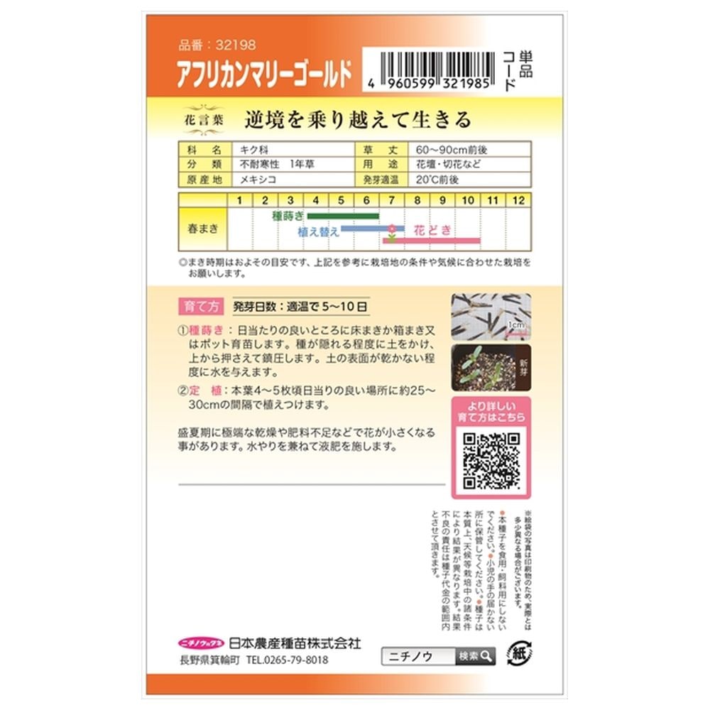 マリーゴールド アフリカンマリーゴールド 1