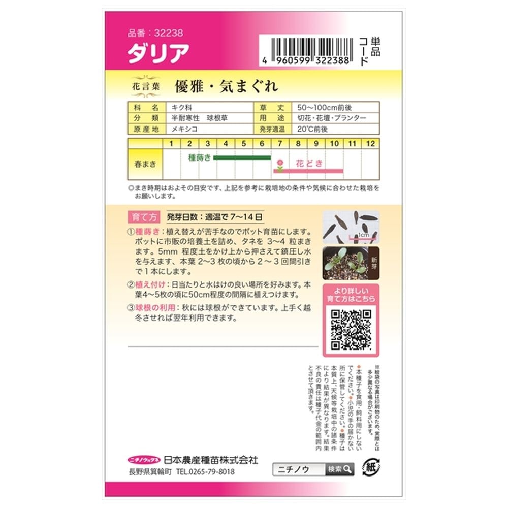 ダリア ダリア 1