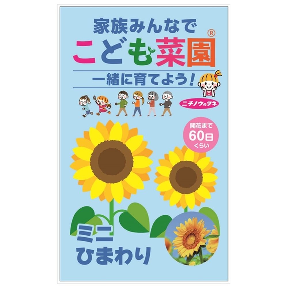 ひまわり ミニひまわり 