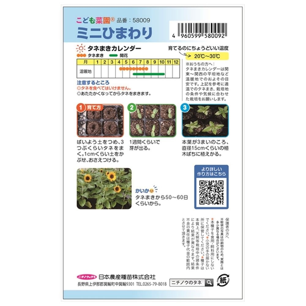 ひまわり ミニひまわり 1