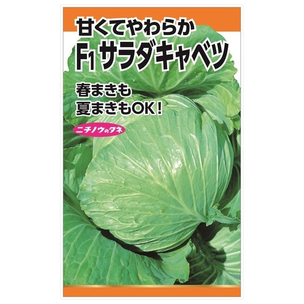 キャベツ F1サラダキャベツ 