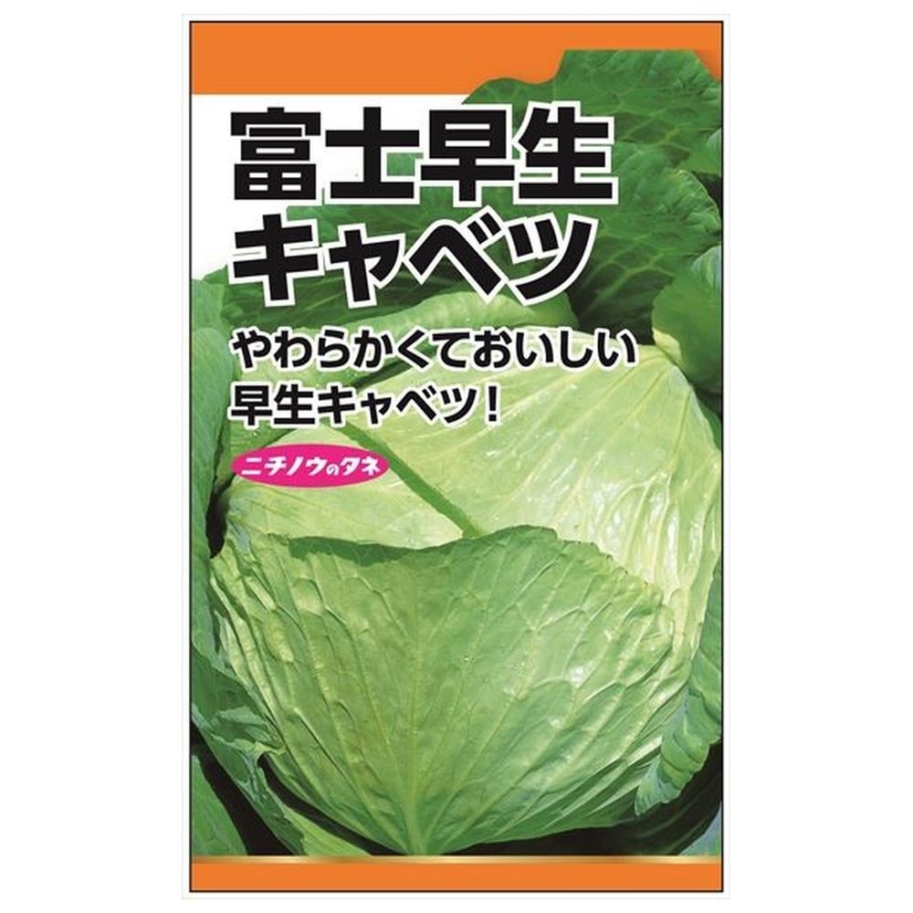 キャベツ 富士早生キャベツ 