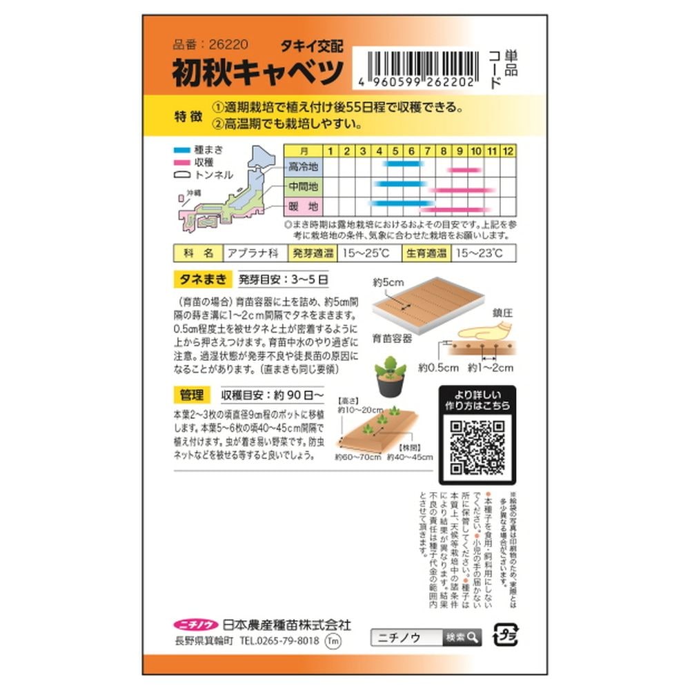 キャベツ 初秋 1