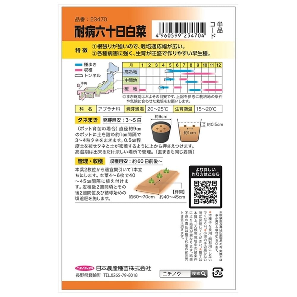 白菜 耐病六十日白菜 1