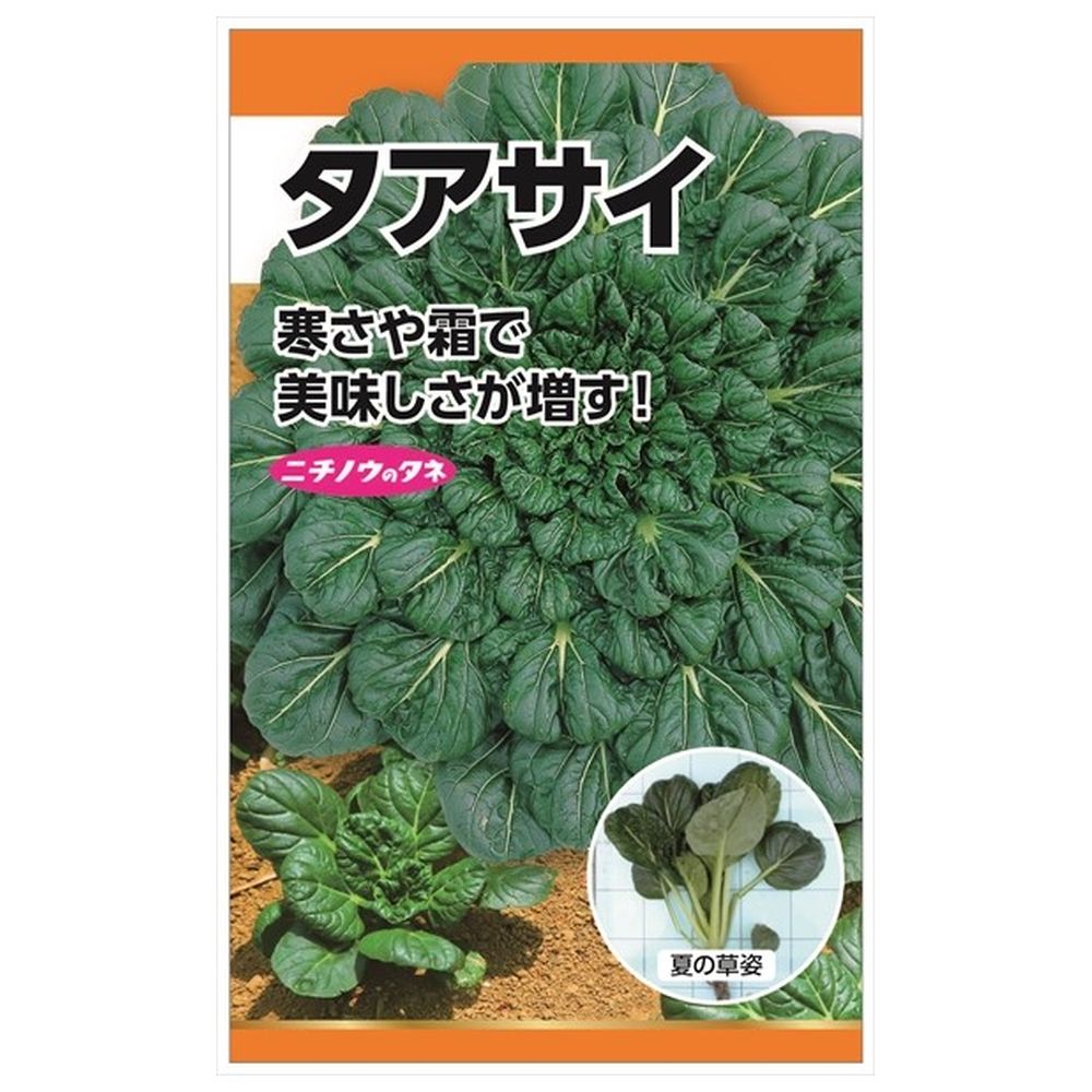 タアサイ タアサイ 