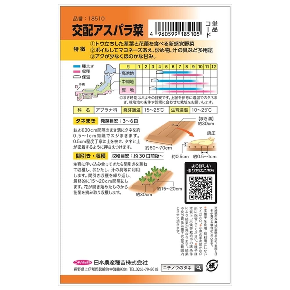 アスパラ菜 アスパラ菜 1