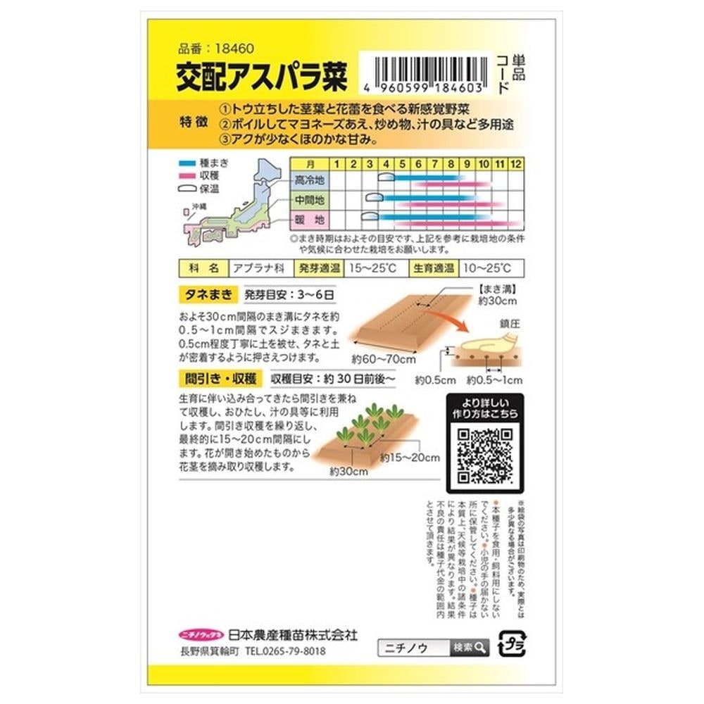 アスパラ菜 アスパラ菜 1