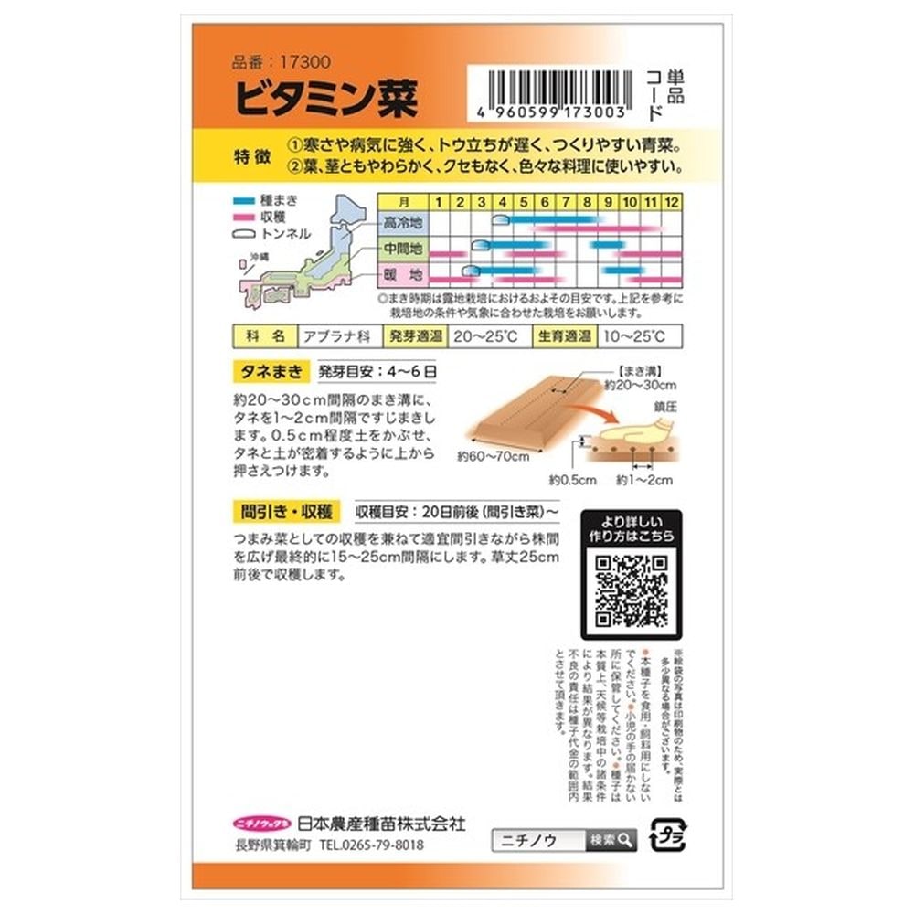 ビタミン菜 ビタミン菜 1