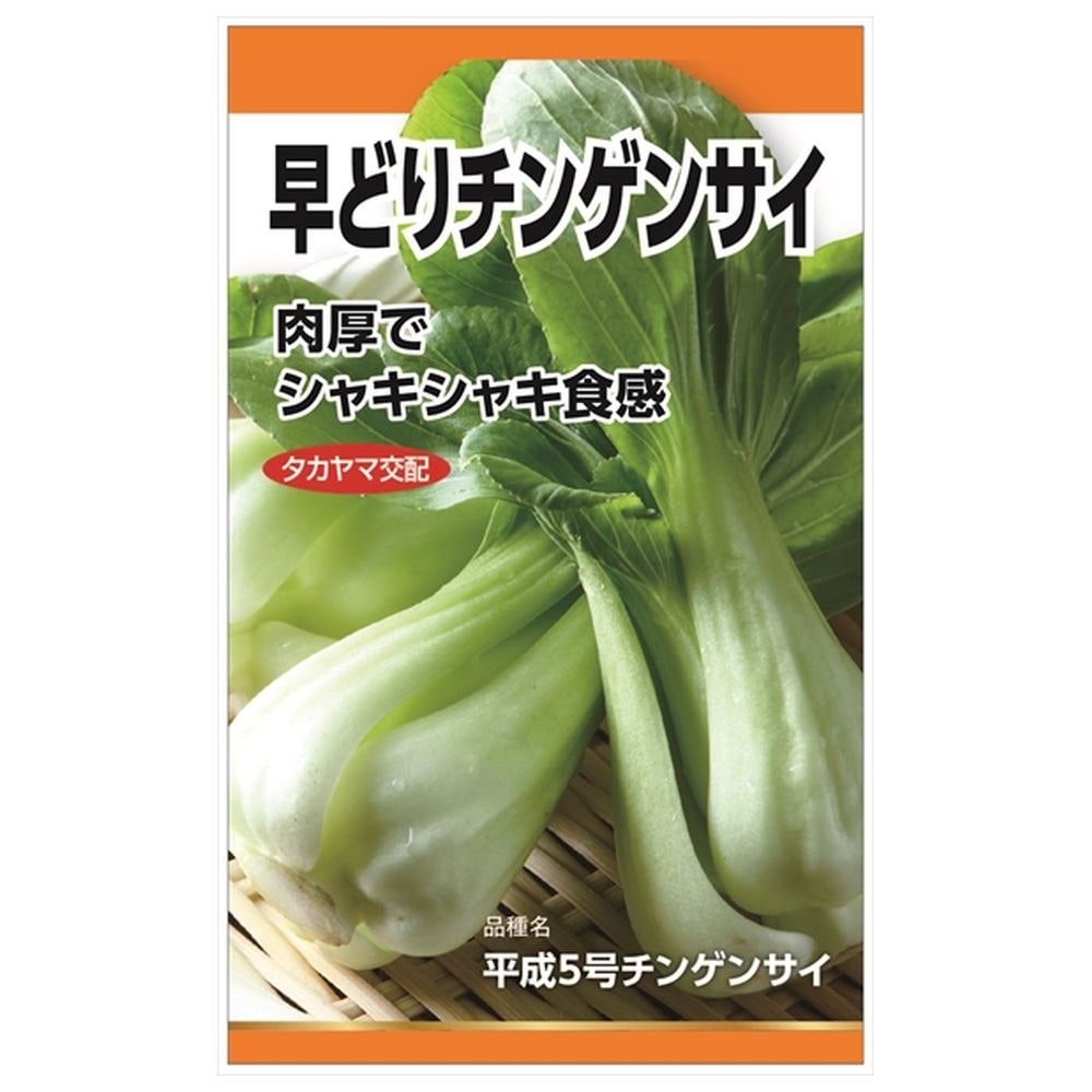 チンゲンサイ 早どりチンゲンサイ(平成5号) 