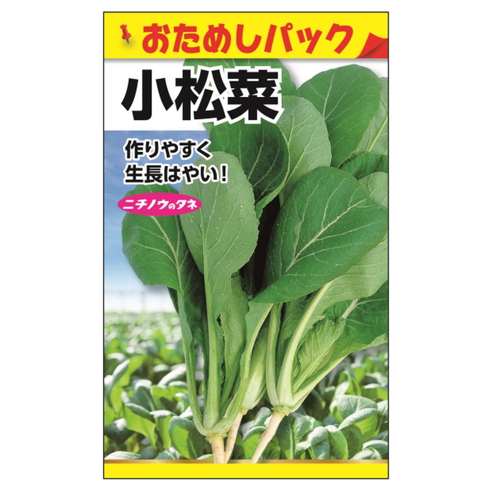 葉菜 小松菜 