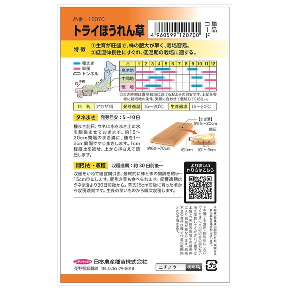 ホウレンソウ  トライほうれん草 1