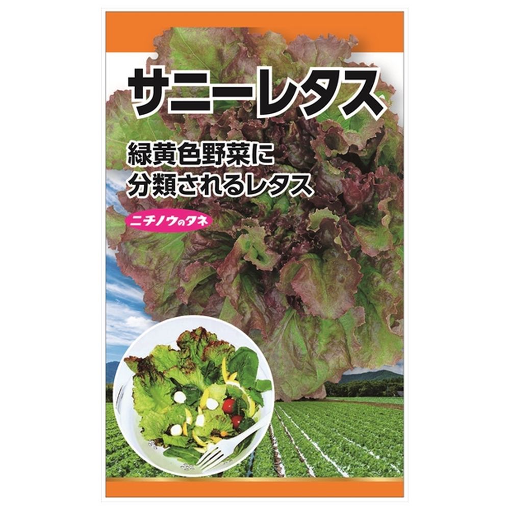 リーフレタス サニーレタス 