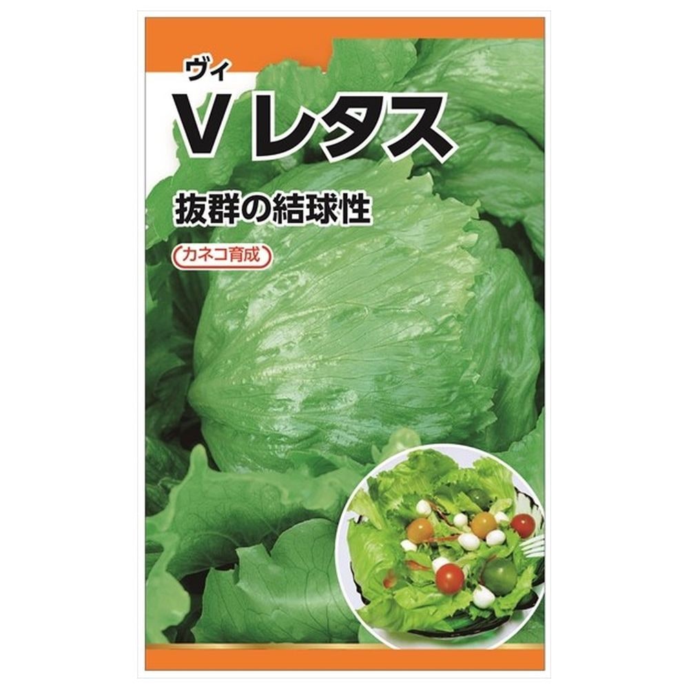 レタス Ｖレタス 