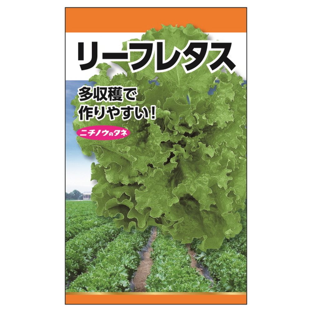 レタス リーフレタス 