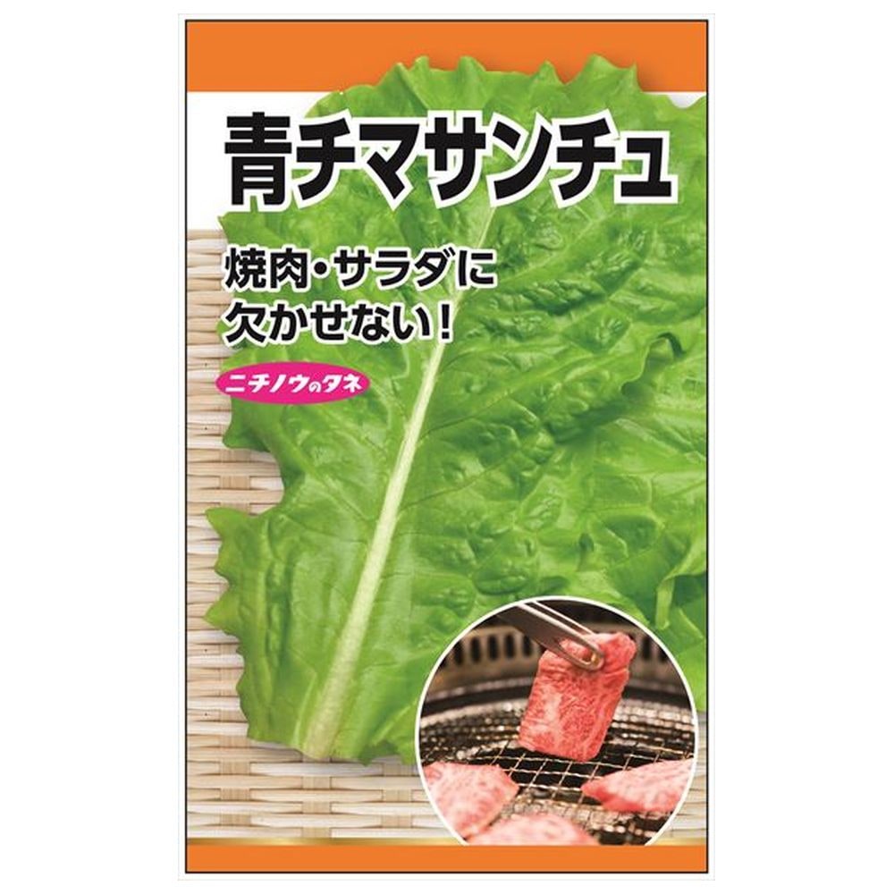レタス 青チマサンチュ 