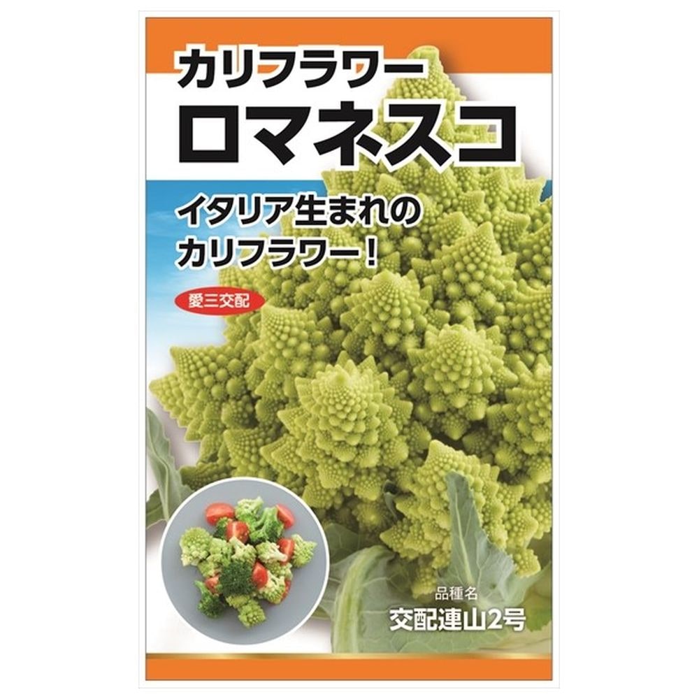 ロマネスコ ベロニカ 