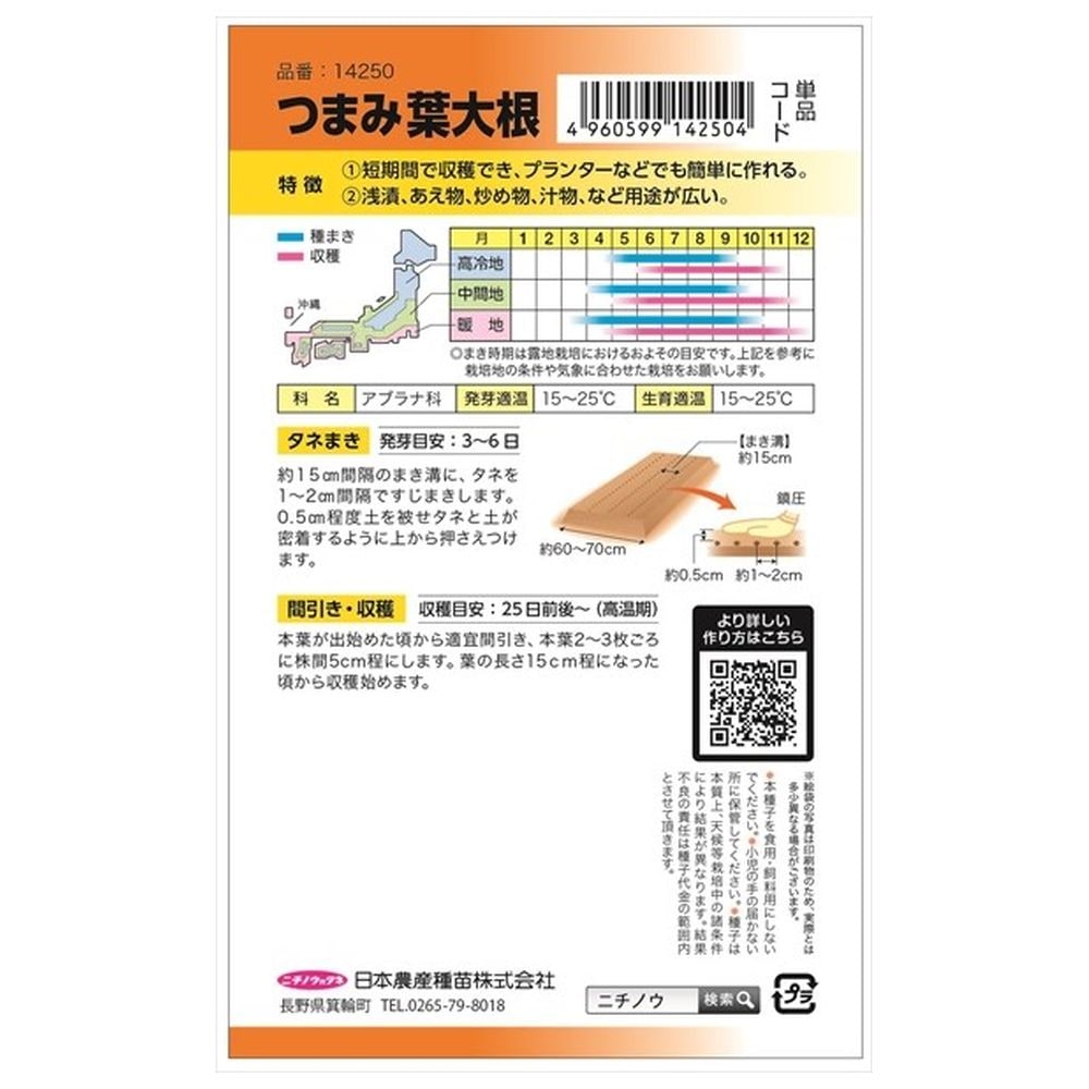 大根 つまみ葉大根 2