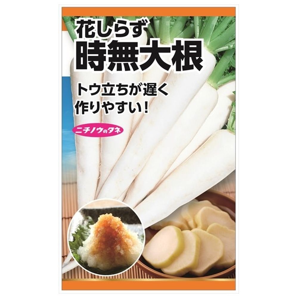 大根 時無大根(花しらず) 