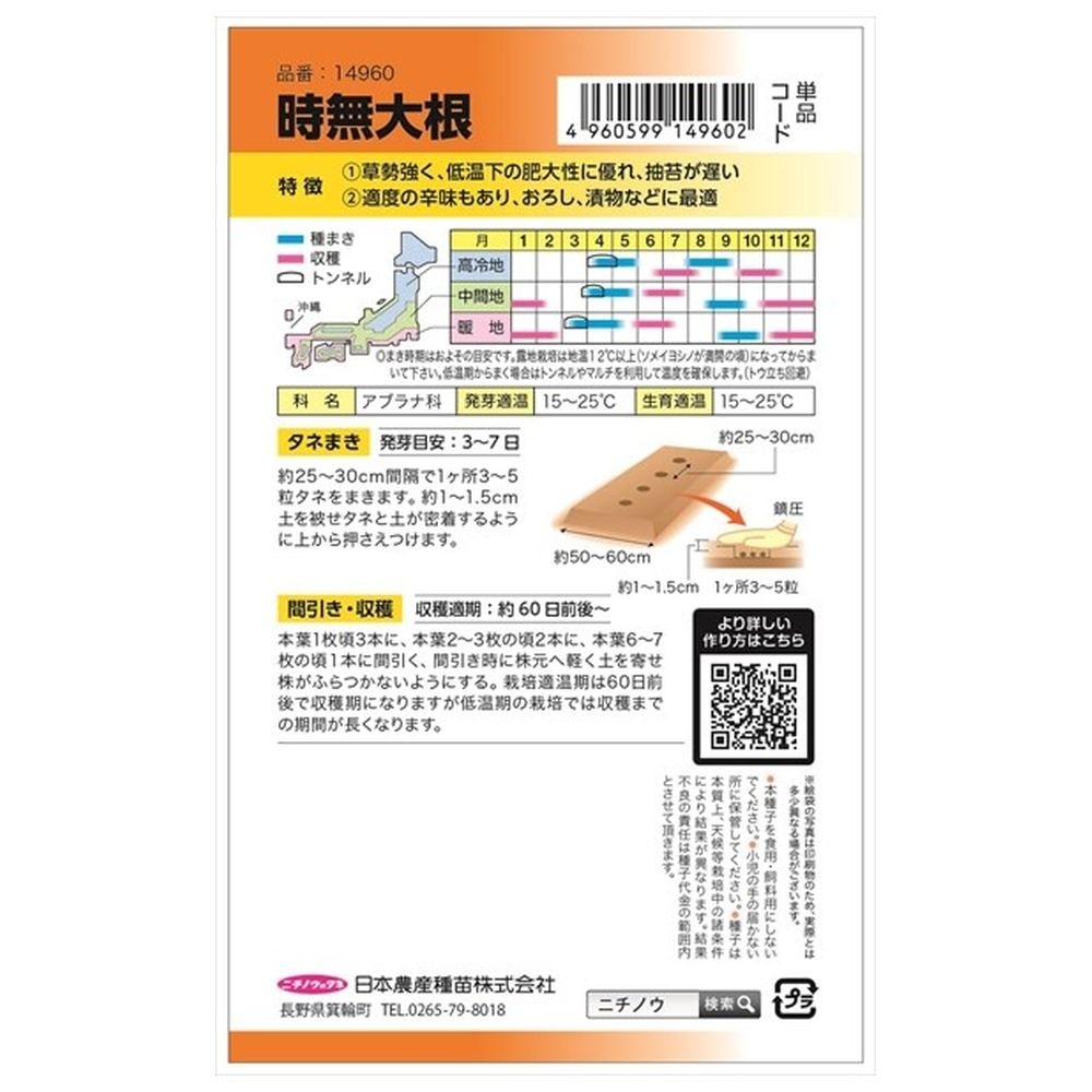 大根 時無大根(花しらず) 1