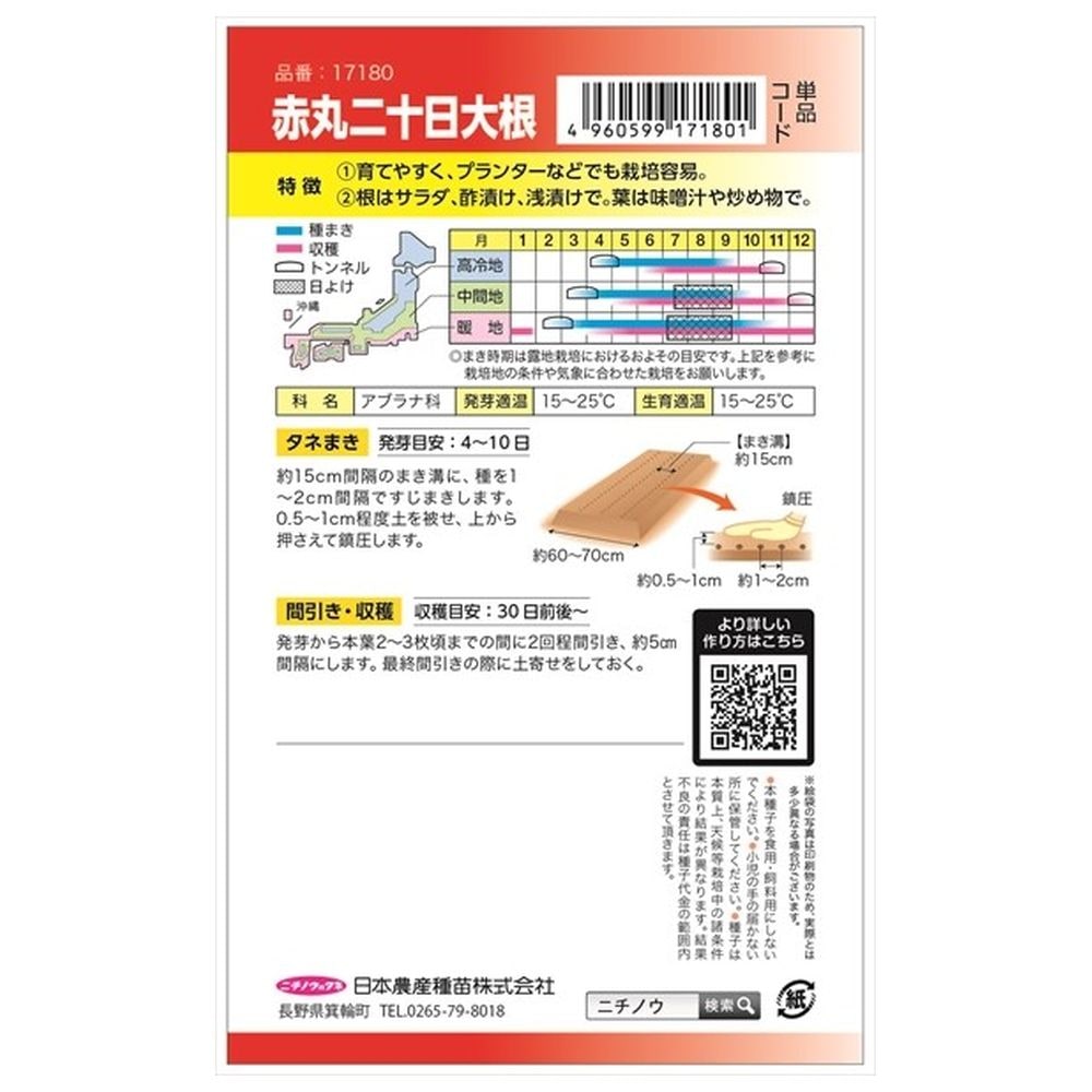 ラディッシュ 赤丸二十日大根 1