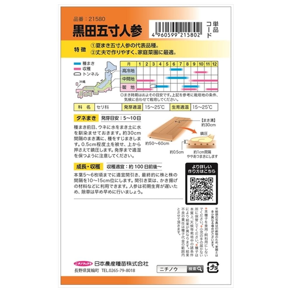 にんじん 黒田五寸人参 1