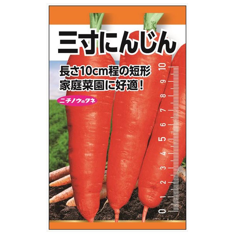 にんじん 三寸にんじん 