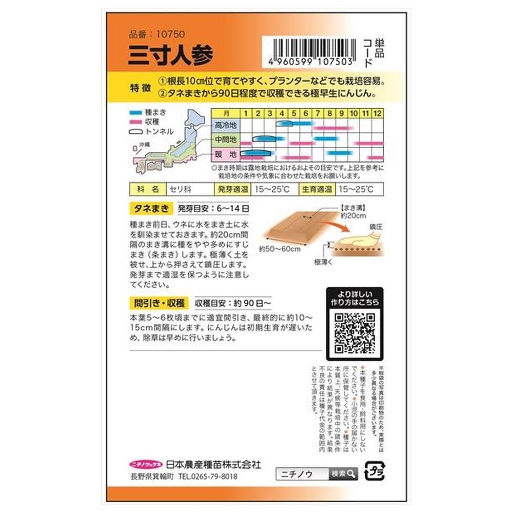 にんじん 三寸にんじん 1