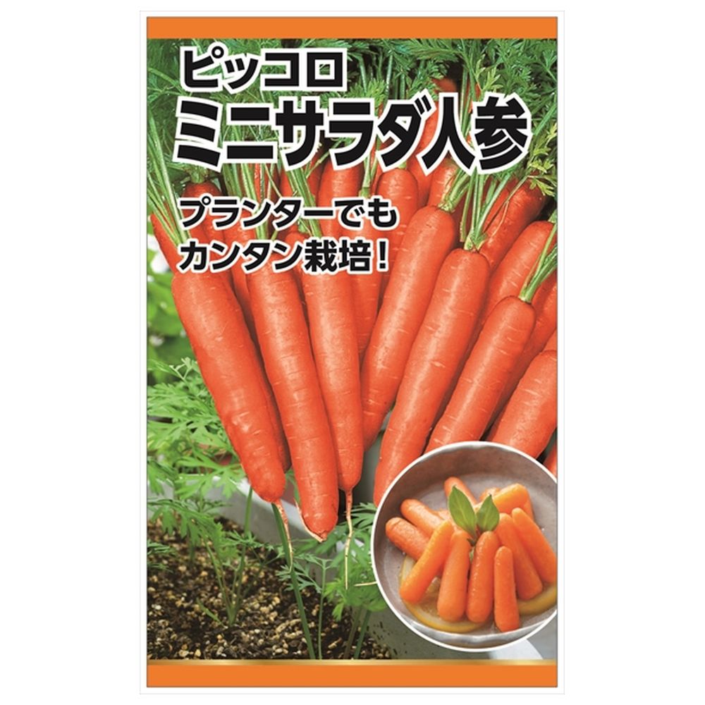 にんじん ピッコロ 