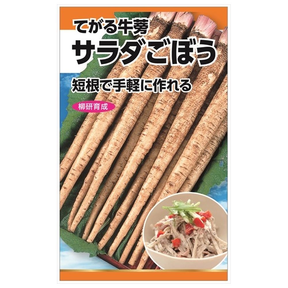 ごぼう サラダごぼう 
