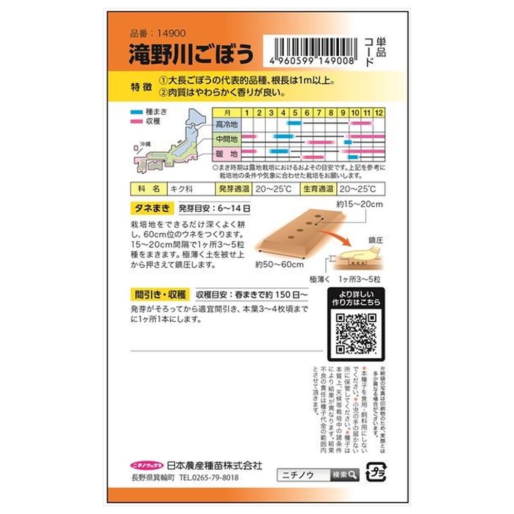 ゴボウ 滝野川ゴボウ 1